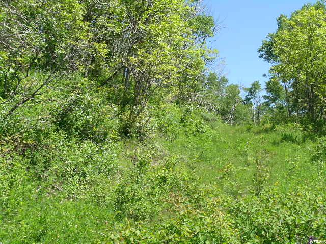 For Sale: 2879 Forest Meadows Rd Coalville, UT 84017