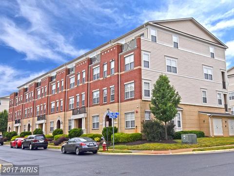 42537 Rockrose Sq #101