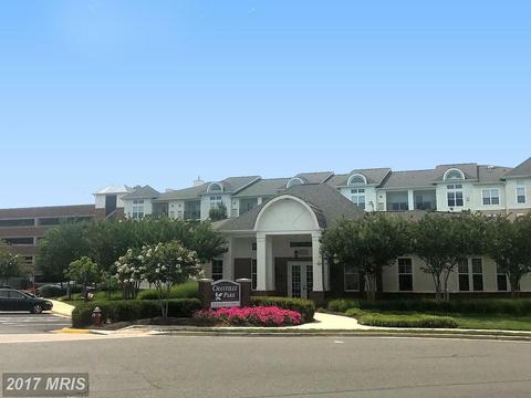 42537 Rockrose Sq #101