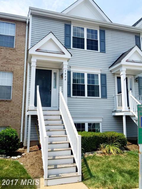 7885 Blue Gray Cir