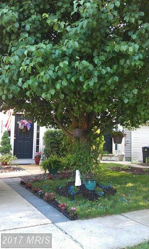24673 Footed Ridge Ter