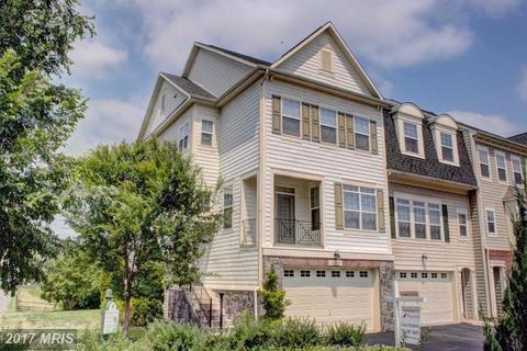 14405 Broadwinged Dr