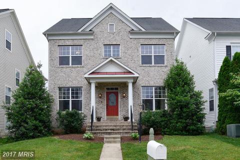 14405 Broadwinged Dr