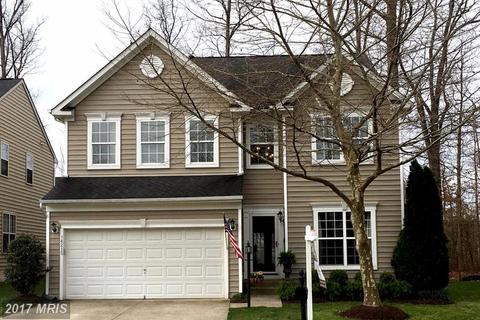 14405 Broadwinged Dr
