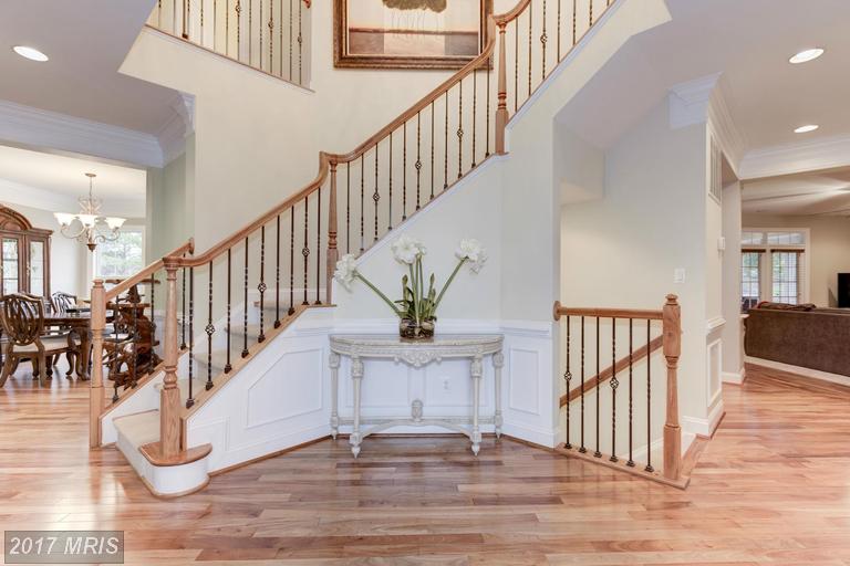 19473 Sassafras Ridge Ter