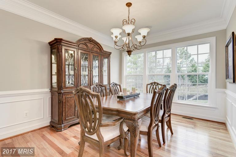 19473 Sassafras Ridge Ter