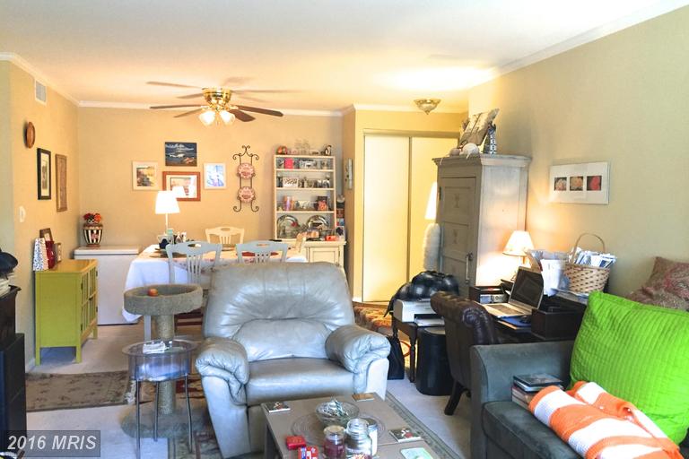 9447 Fairfax Blvd #302