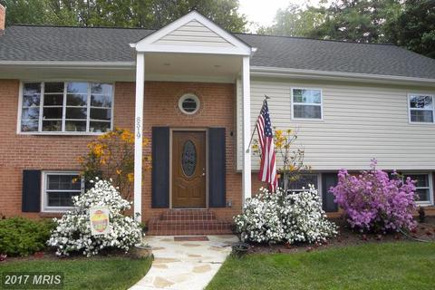 8887 Olive Mae Cir