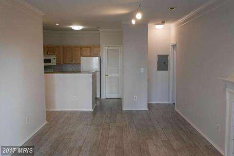 4409 Fair Stone Dr #305