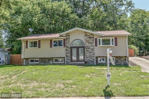 8205 Springfield Village Dr