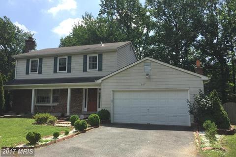 6905 Dawley Ct