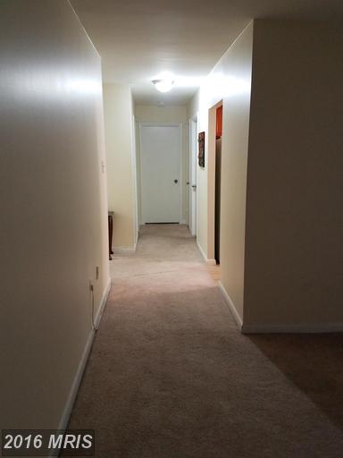 5565 Columbia Pike #611