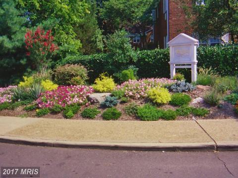 3463 Martha Custis Dr #3463