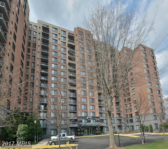 5903 Mount Eagle Dr #1203
