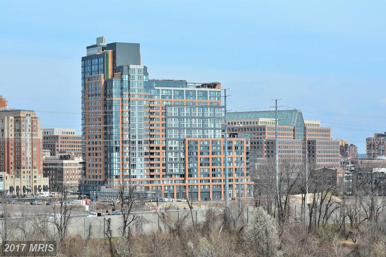 5903 Mount Eagle Dr #1203