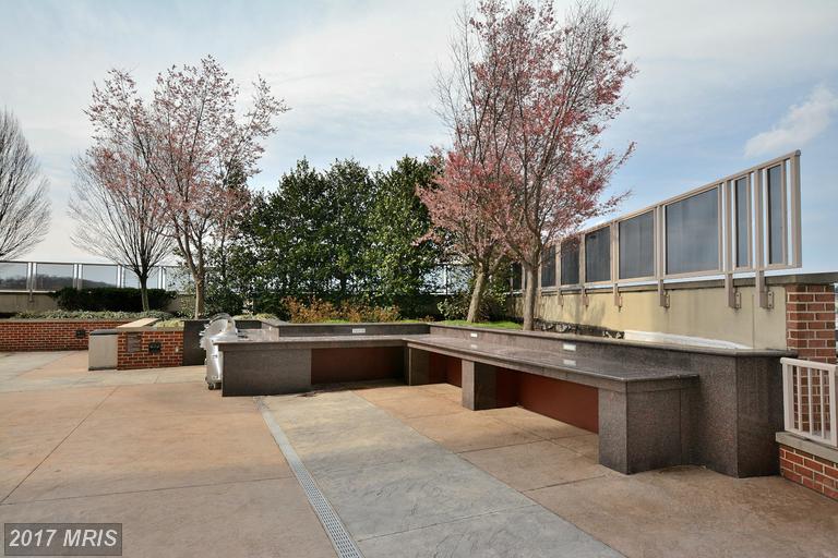 5903 Mount Eagle Dr #1203