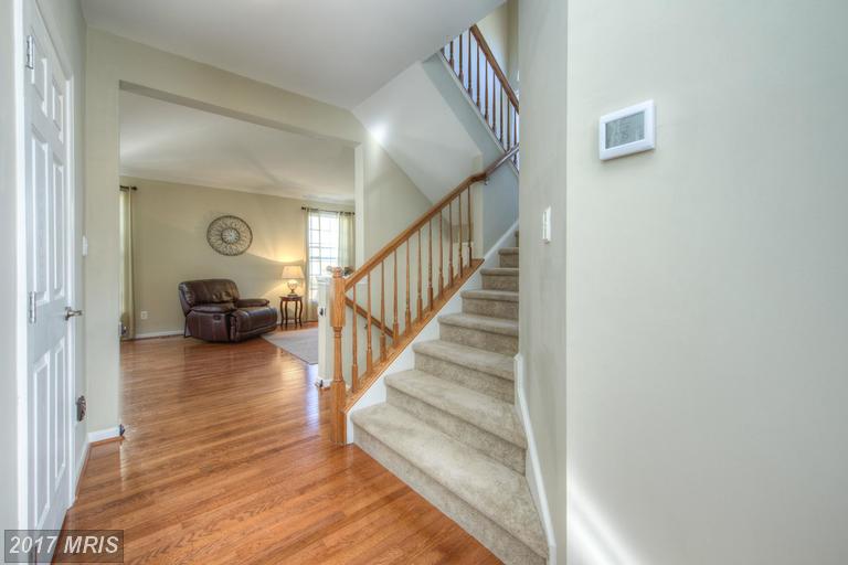 1404 Saunders Dr
