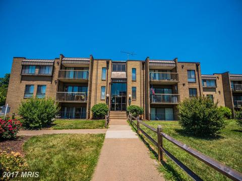 11 Lincoln Ave