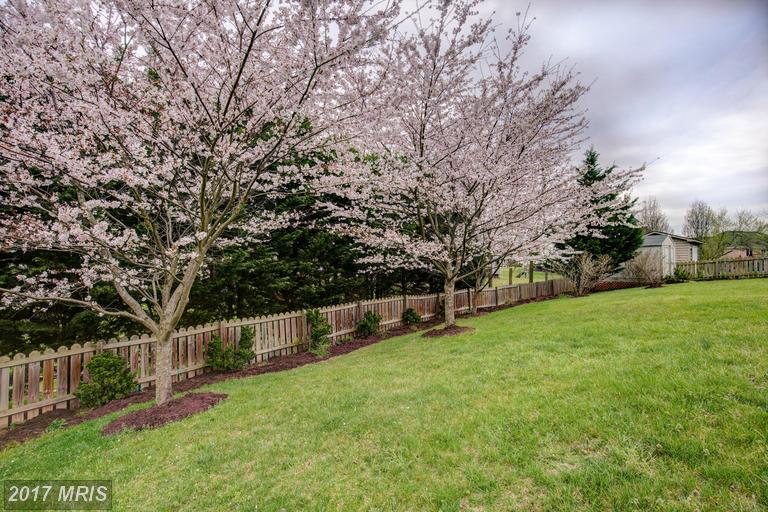 105 Sesar Ct