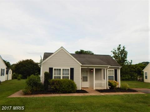 206 Crane Dr