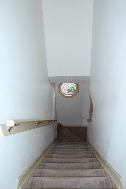 102 Kingsbridge Ln