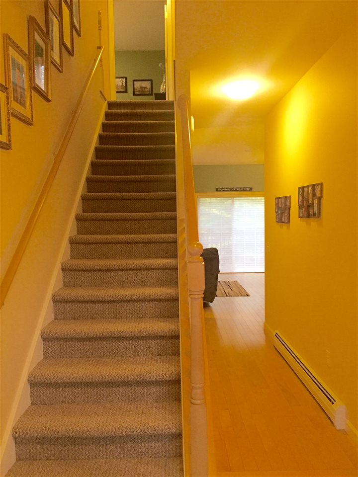 55 Marion Ave