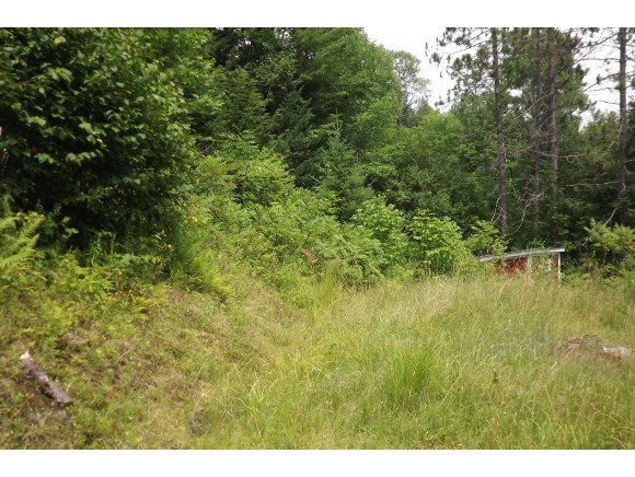 187 Nancy Rd