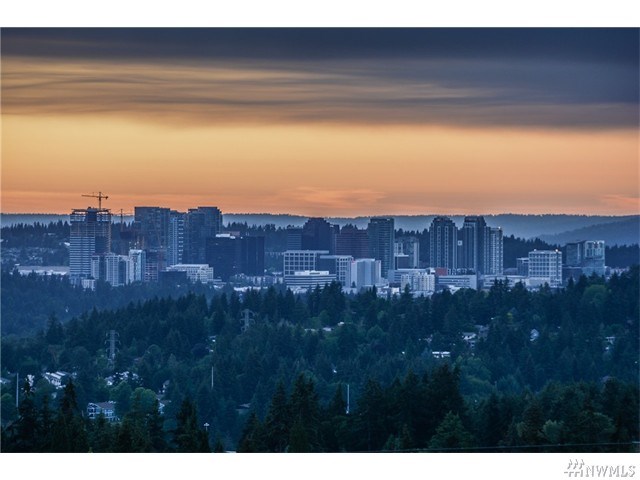 For Sale: 4446 Somerset Blvd SE Bellevue, WA 98006
