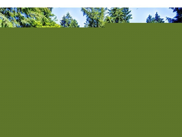 For Sale: 17517 18th Dr SE Bothell, WA 98012