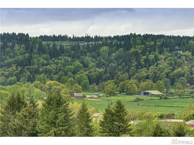 For Sale: 14331 3rd Cir NE Duvall, WA 98019