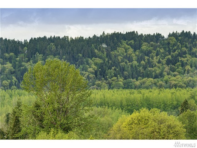 For Sale: 14331 3rd Cir NE Duvall, WA 98019