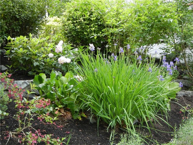 For Sale: 525 E Division St Arlington, WA 98223