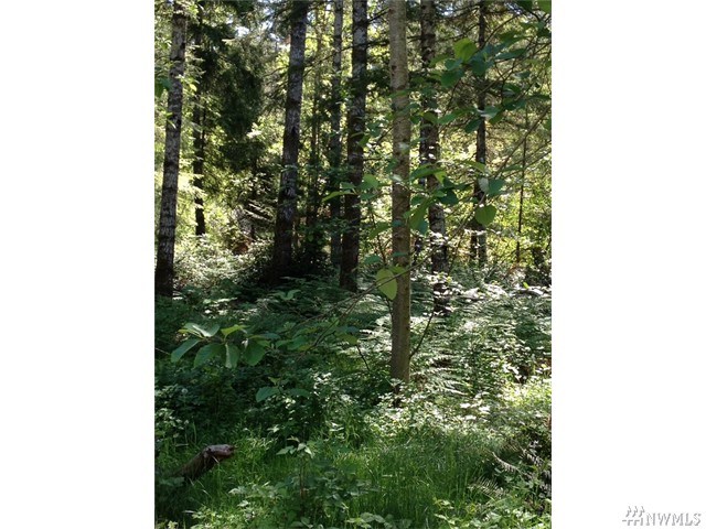 For Sale: 3586 Redwing Trl NW Bremerton, WA 98312
