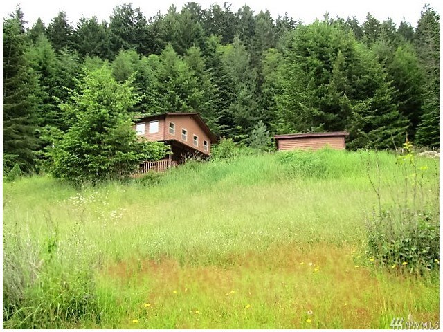For Sale: 2904 Black Diamond Rd Port Angeles, WA 98363
