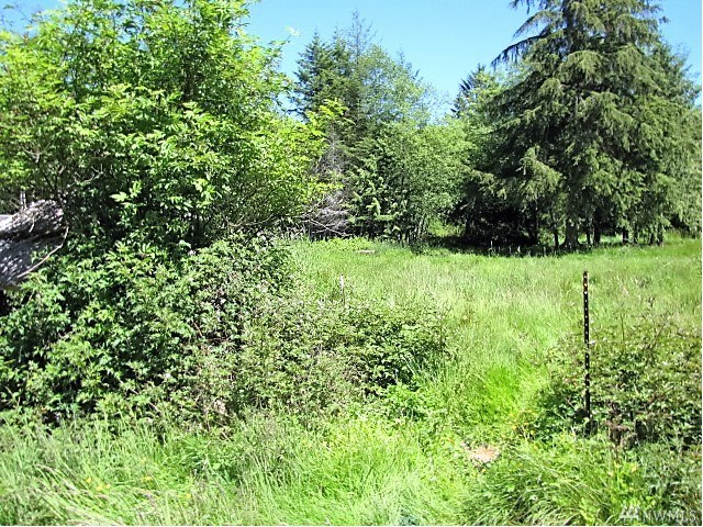 For Sale: 444 Farrington Rd Port Angeles, WA 98363