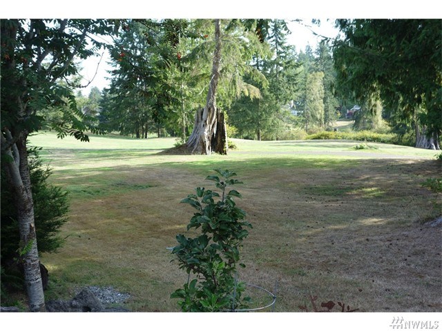 For Sale: 155 Greenview Ln Port Ludlow, WA 98365