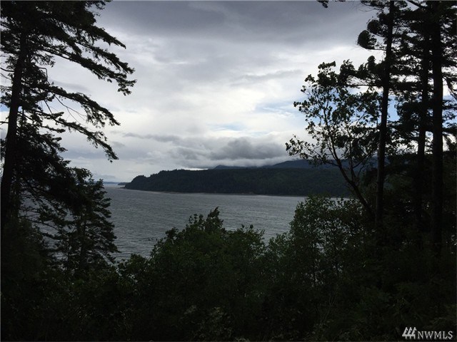 For Sale: 591 Twana Way Quilcene, WA 98376