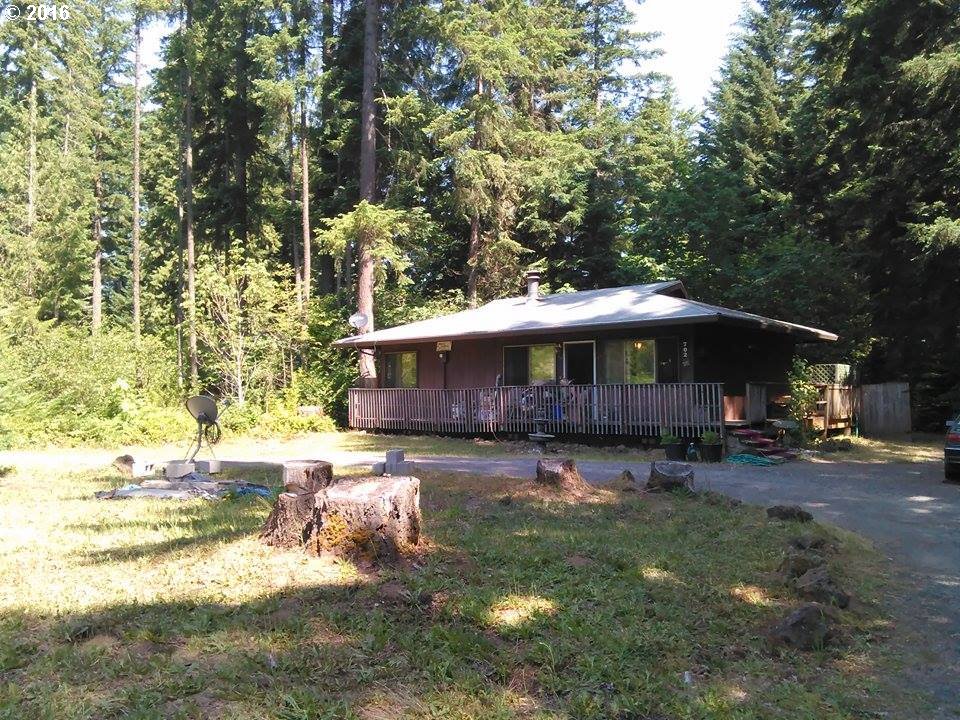For Sale: 702 High Bridge Rd Carson, WA 98610