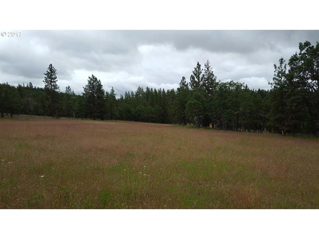 2031 Hwy 97