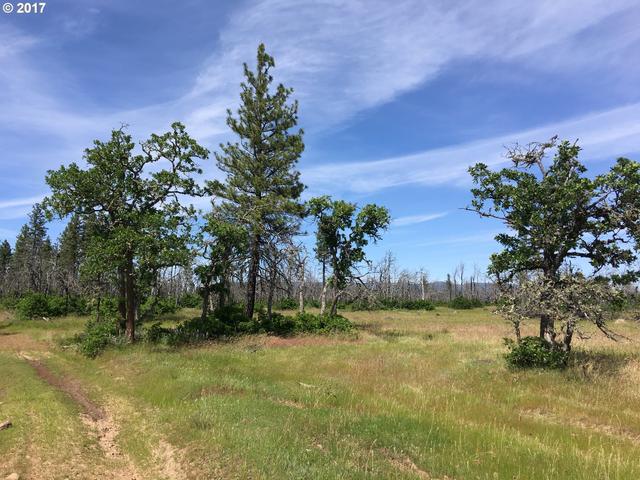 2031 Hwy 97