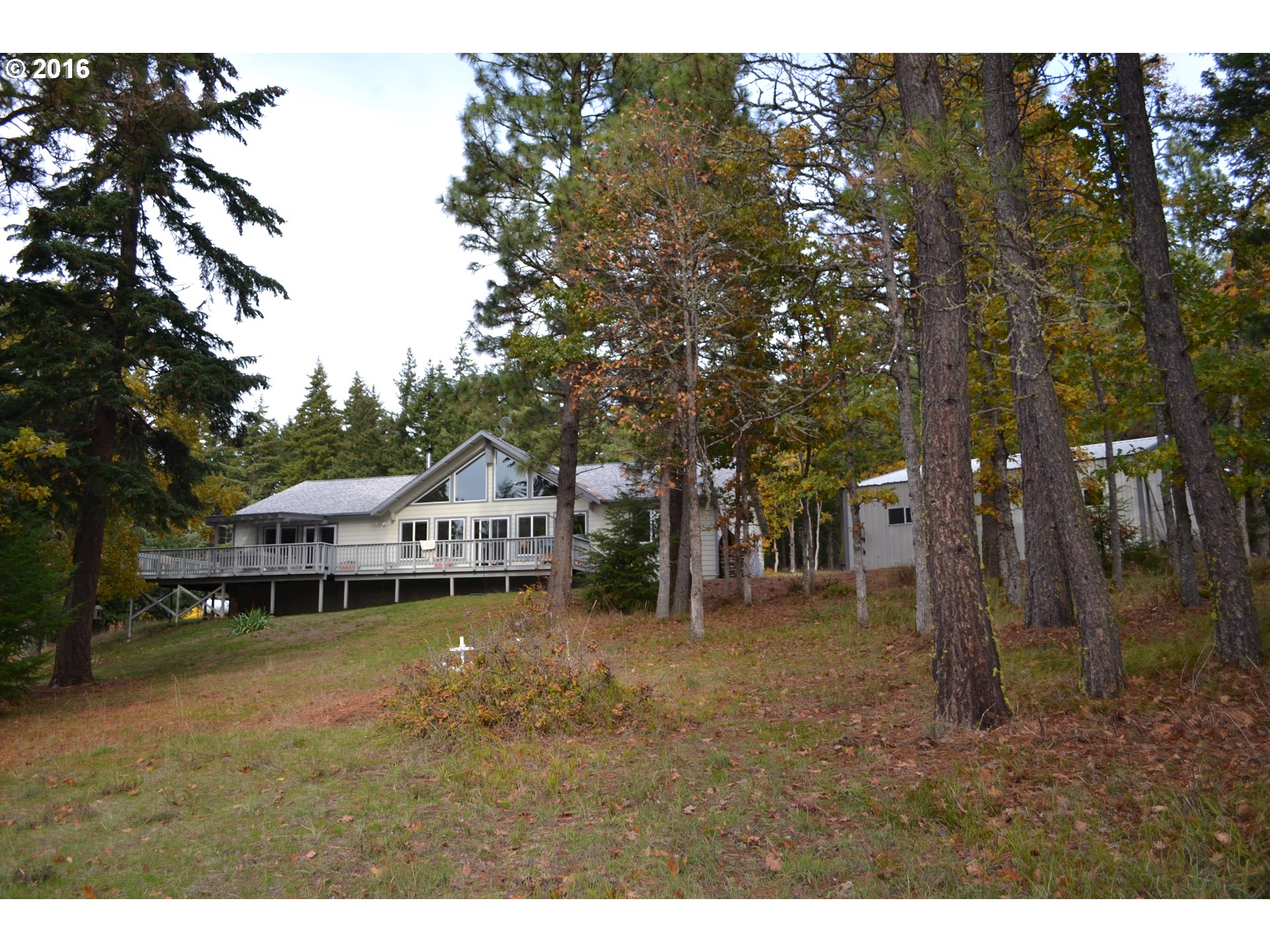 65 Aki Rd