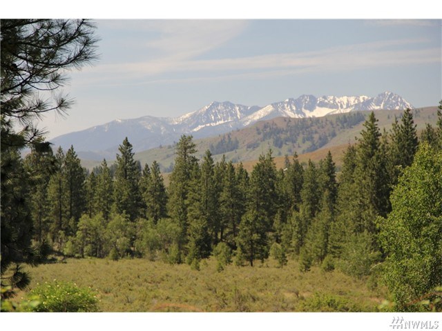 For Sale: 523 E Chewuch Rd Winthrop, WA 98862