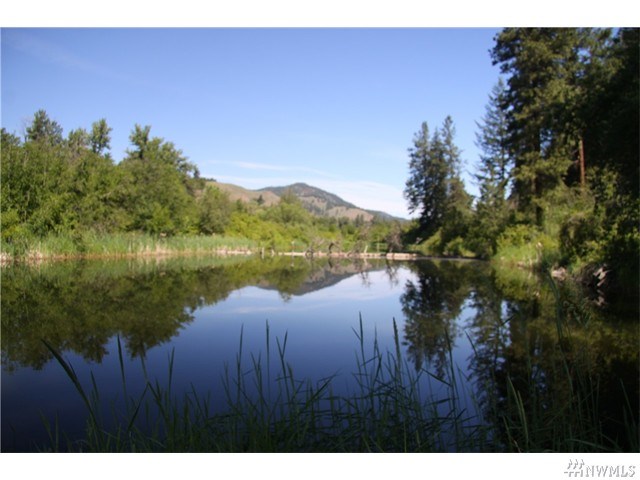 For Sale: 523 E Chewuch Rd Winthrop, WA 98862