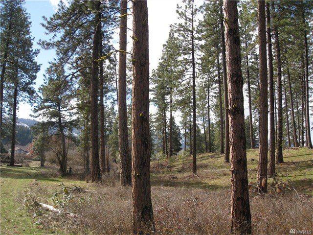 3770 Suncadia Trl #310