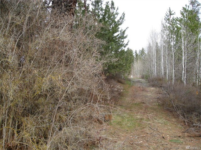 3770 Suncadia Trl #310