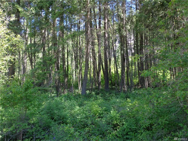 Lundimo Meadows Rd