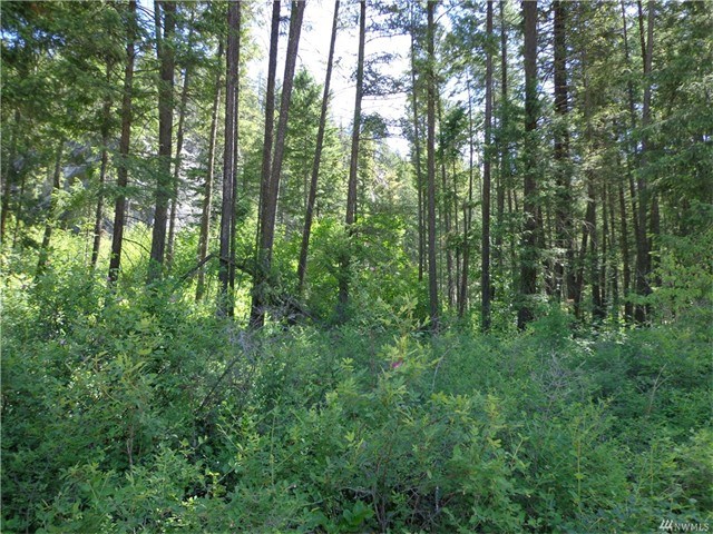 Lundimo Meadows Rd