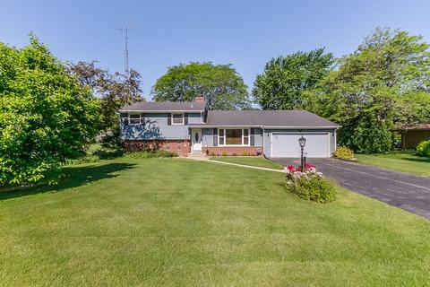 3442 Oak Tree