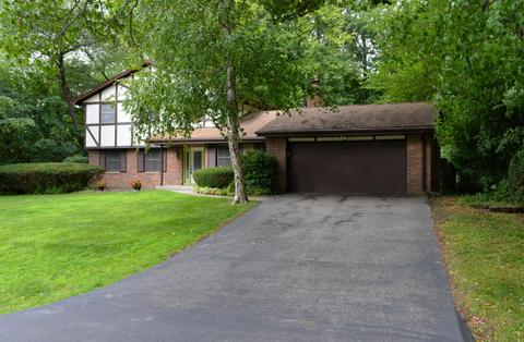 3442 Oak Tree