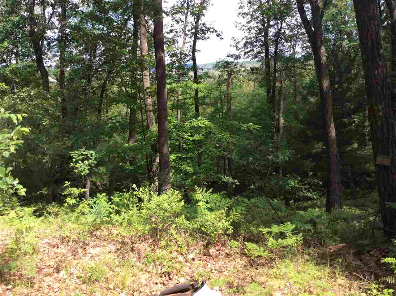 For Sale: 19616 Chaparral Ave Warrens, WI 54666